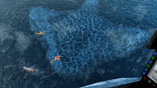 Thalassophobia - We Found The EL Gran Maja