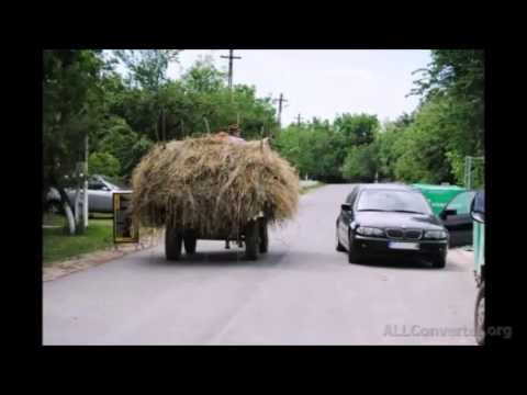 Viata in satul Necsesti