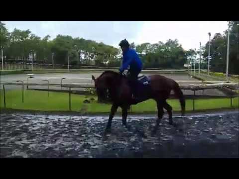 Floreal 23-05-17 Just Racing