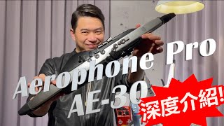 Video thumbnail for 史上最強電吹管！2021 ROLAND Aerophone Pro, AE-30來了！ by 董舜文的頻道