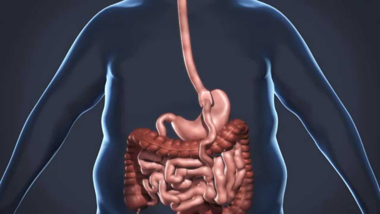 Método Apollo en Clínica ServiDigest, en Barcelona