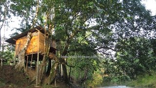 preview picture of video 'Jungle Resort at Kampung (Village) Tringgus, Kuching Sarawak Malaysia'