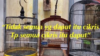 Download lagu Cikris Cisem daput dakun, apa perbedaannya ???? mp3