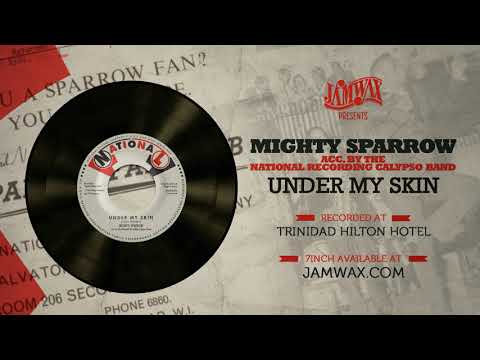 I've Got You Under My Skin のサムネイル