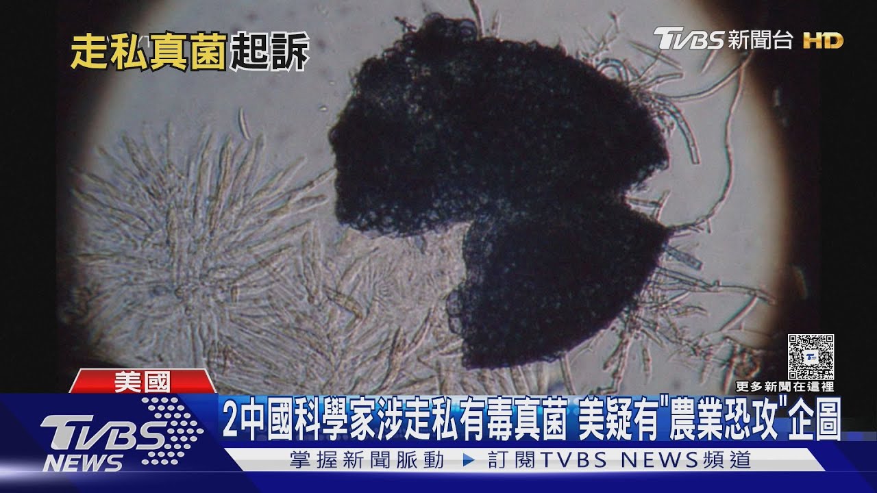 2中國科學家涉走私有毒真菌 美懷疑有「農業恐攻」企圖