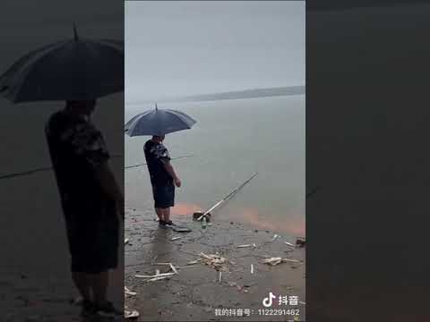 Fishing videos ⛵ Amazing fishing videos 🤳 Tik tok China 🙅 #shorts