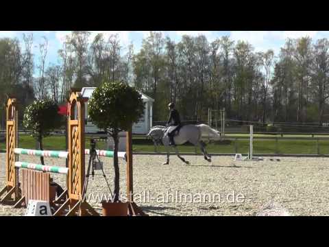 Dirk Ahlmann-Larimar Hengst Sprpf L