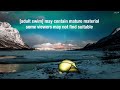 Cartoon Network Sign Off And Adult Swim Sign On February 15 2026