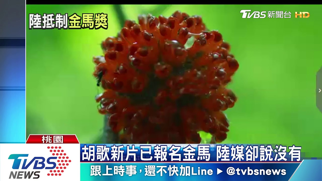 封殺金馬獎! 陸電影局頒禁令暫停參加