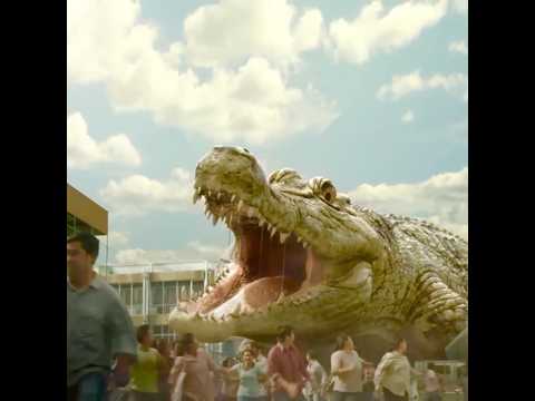 JACARÉ ENORME NA CIDADE #shorts