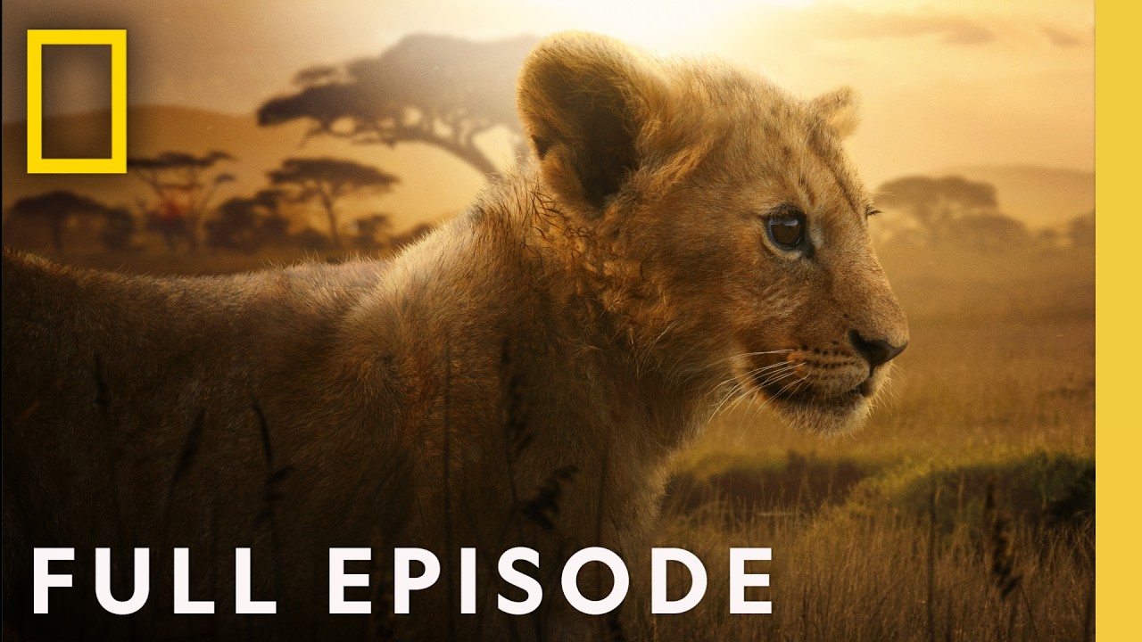 LION | Chapter One: A Prince is Born (Full Episode) | National Geographic