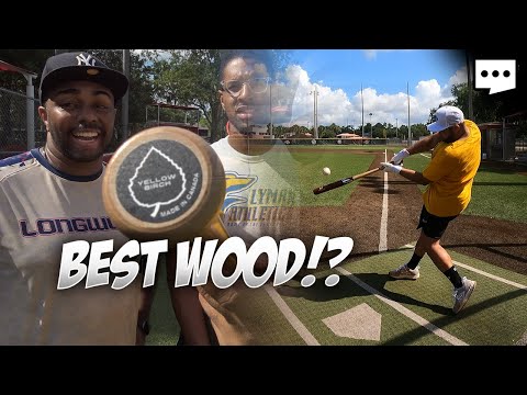 BETTER than Ash & Maple COMBINED!? // B45 YELLOW BIRCH