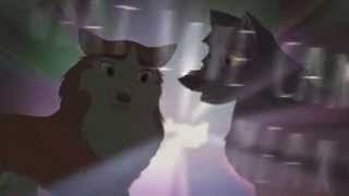 Bright Stars Burning ☄ Collab With MisterTiggs