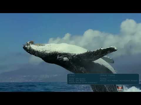 Faiyum geosites nomination and assessments