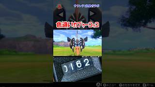 【#ポケモン剣盾】色違いカプゥーコッコを見つけた  #shorts