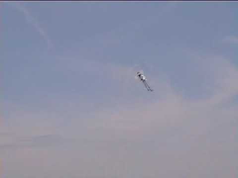 Mikado Logo 400 VStabi  FlorianOtzmann-2008