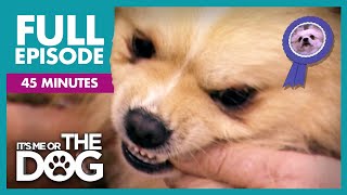 Thumbnail del capítulo