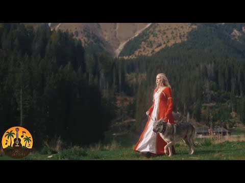 Mix - Sandra N feat. David Ciente - Suntem fratii lupilor