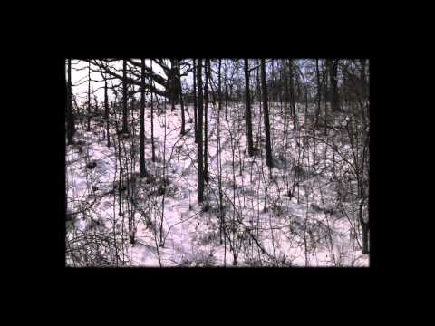 afbeelding Pursuit of a Legend