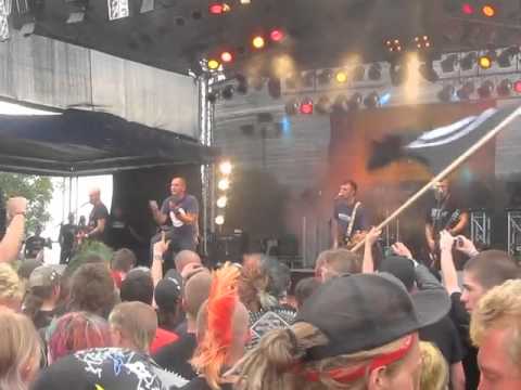 Los Fastidios   Animal Liberation Force Attack 2009