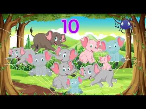 10 Elefantes se Columpiaban 🐘- Canción Infantil - Chivaditos