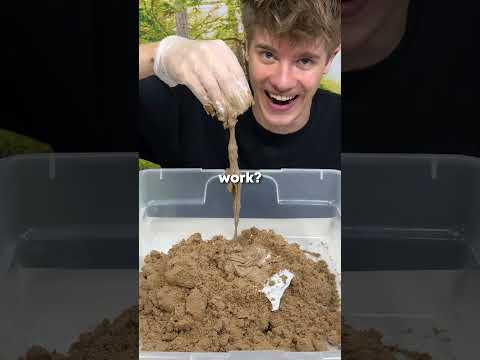 The Worlds Dumbest Science Experiments