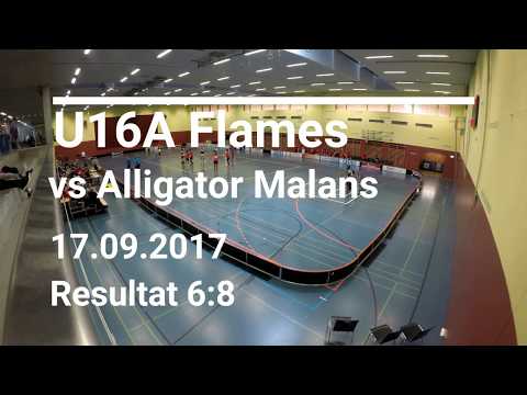 Flames vs. Alligator Malans