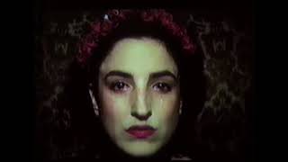 Robert Ashley - She Was A Visitor
