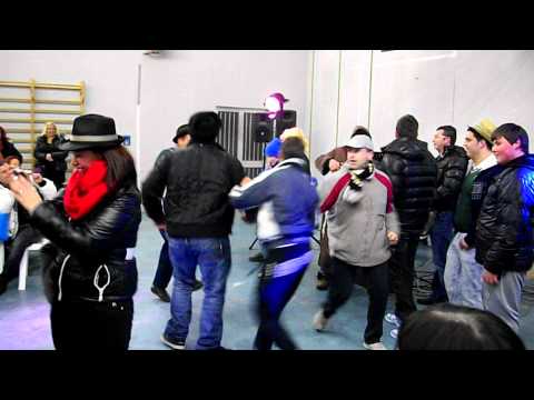 OFENA.S.ANTONIO uno asino in palestra