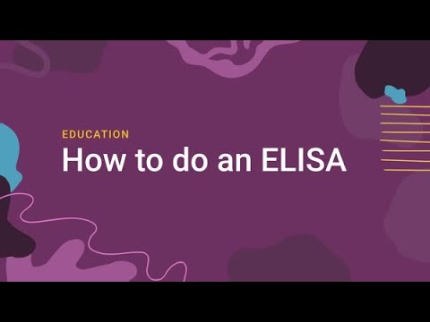 How to do an ELISA Assay