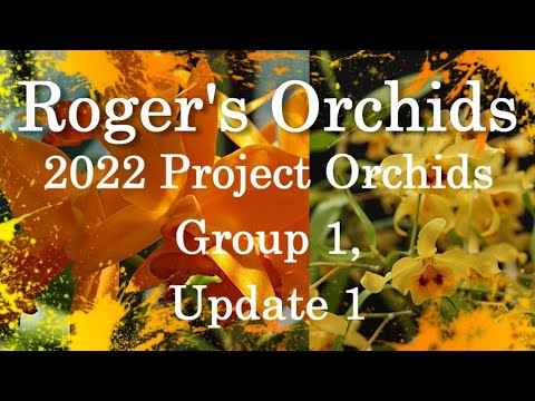 2022 Project Orchids - Group 1, Update 1