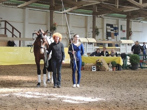 Voltigieren Wildenburg - Einzel M (CindyLu) - Bad Ems 06.04.2014