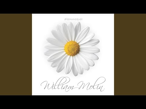 Sabe - William Molin
