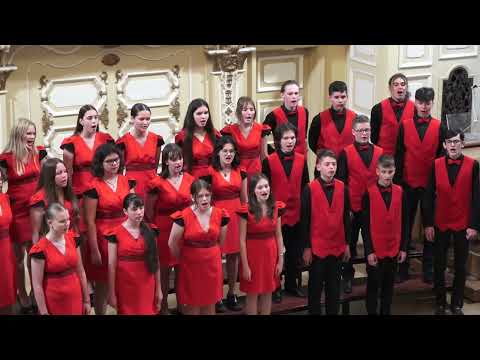 Emil Cossetto: Moja diridika