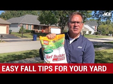 image-Can you put down weed and feed in the fall?