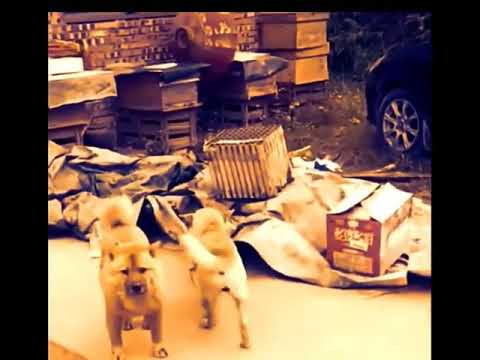 26 मार्च 2021(1)