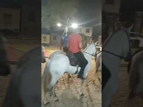 CAVALGADA em CASTRO ALVES -BA.    #nordeste #castroalves #bahia #chorts