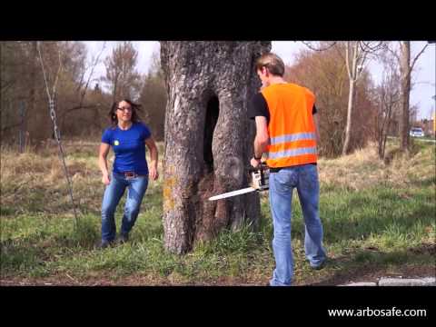 TreeCalc.com video thumbnail