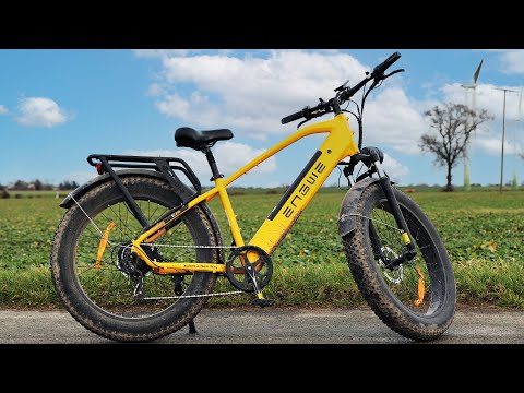 Engwe E26 1 Jahr Review