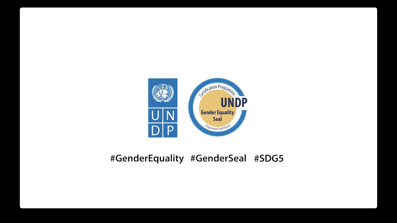 Gender Equality Seal for UNDP Entities