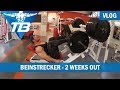 Beintraining Teil I - Beinstrecker | 2 weeks out