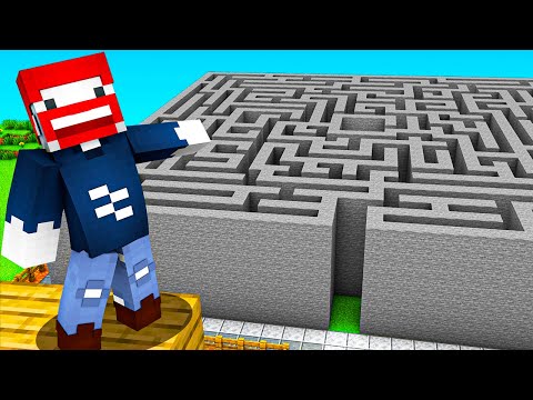 ICH PRANKE FREUNDE MIT UNMÖGLICHEN LABYRINTH! - Minecraft Freunde