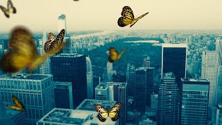 Wish You Were Here (w Lyrics)