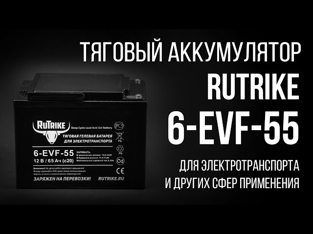 Тяговый аккумулятор 6-EVF-55