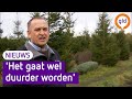 Kerstboomkweker is goed gemutst, maar 'de boom wordt ietsjes duurder'