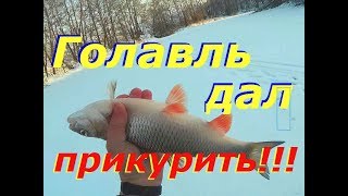 Ловля голавля зимой со льда