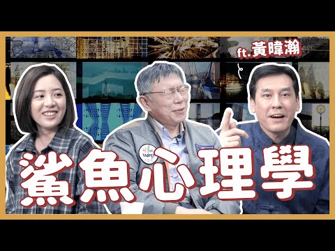 鯊魚理論