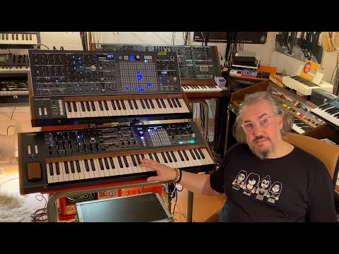 Arturia Polybrute vs Matrixbrute the "did you need both?" review