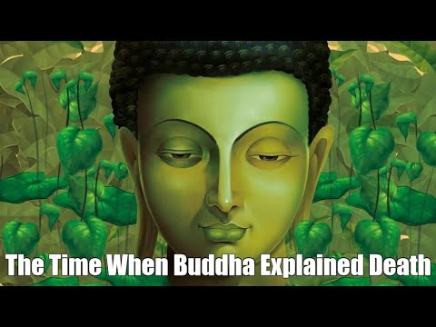 The Time When Buddha Explained Death - BUDDHA STORY
