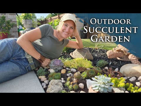 Building an Outdoor Succulent Garden